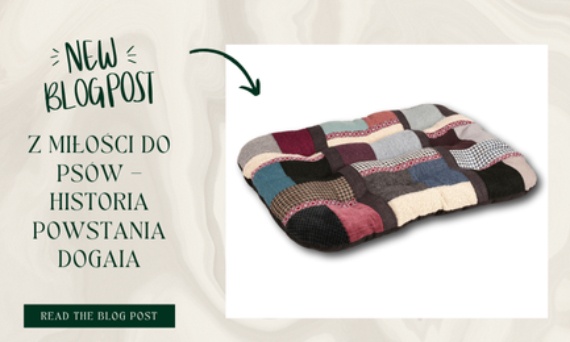 Z miłości do psów – historia powstania DOGAIA