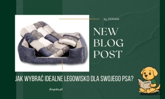 Jak wybrać idealne legowisko dla swojego psa?