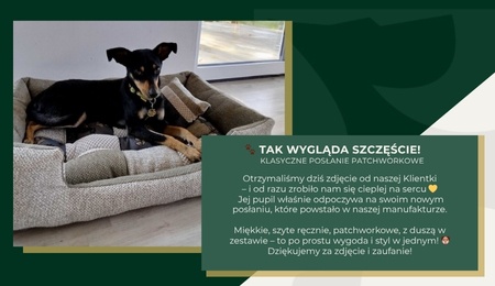 🐶 Zadowolony Klient – szczęśliwy pies 💚